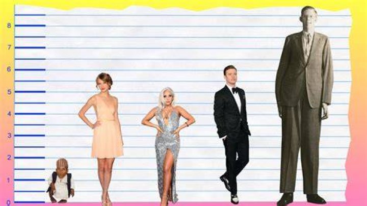 How tall is Taylor Swift? Taylor Swift Height, Age, Weight and Much