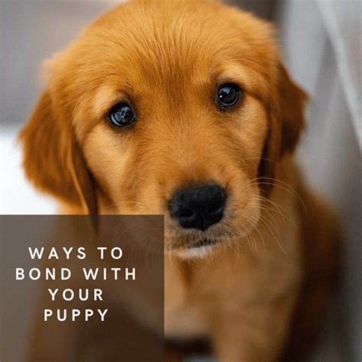 How to Bond with Your Nieces and Nephews JoAnna E