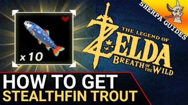 How to Find Stealthfin Trout Stealth Gear Upgrades Zelda Breath of