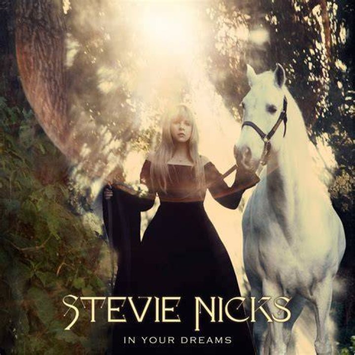 In Your Dreams Stevie nicks, Stevie, Stevie nicks fleetwood mac