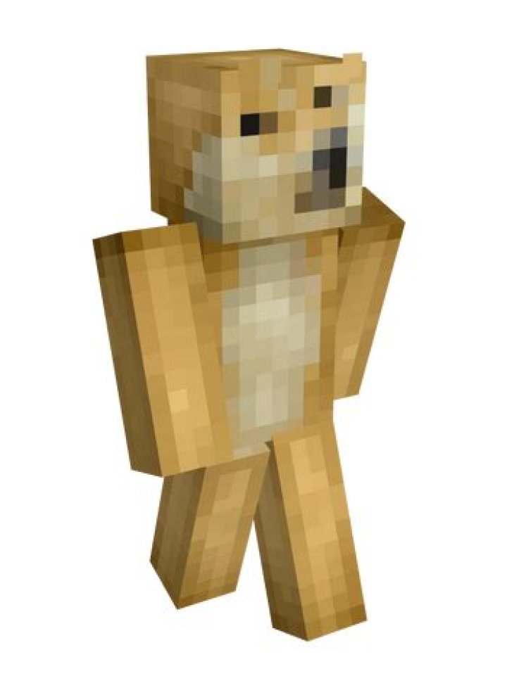 Junky Janker SMPLive Wiki Fandom