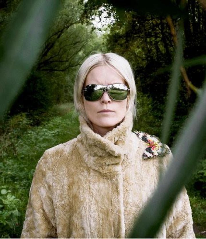 Karin Dreijer Discography Discogs