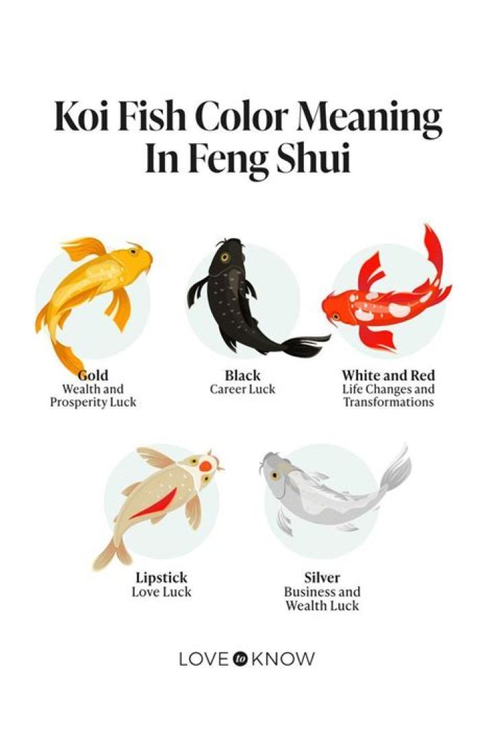 Koi Fish Color Meaning Chart
