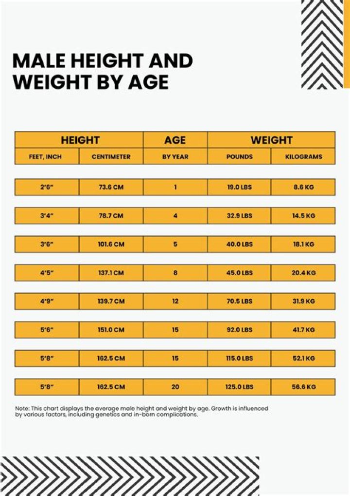 Liam Neeson's Height And Weight: A Comprehensive Guide