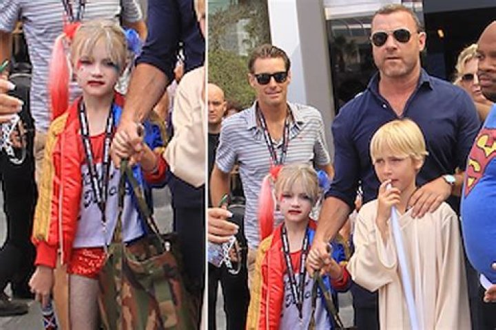Liev Schreiber&rsquo;s sons get decked out for ComicCon Page Six