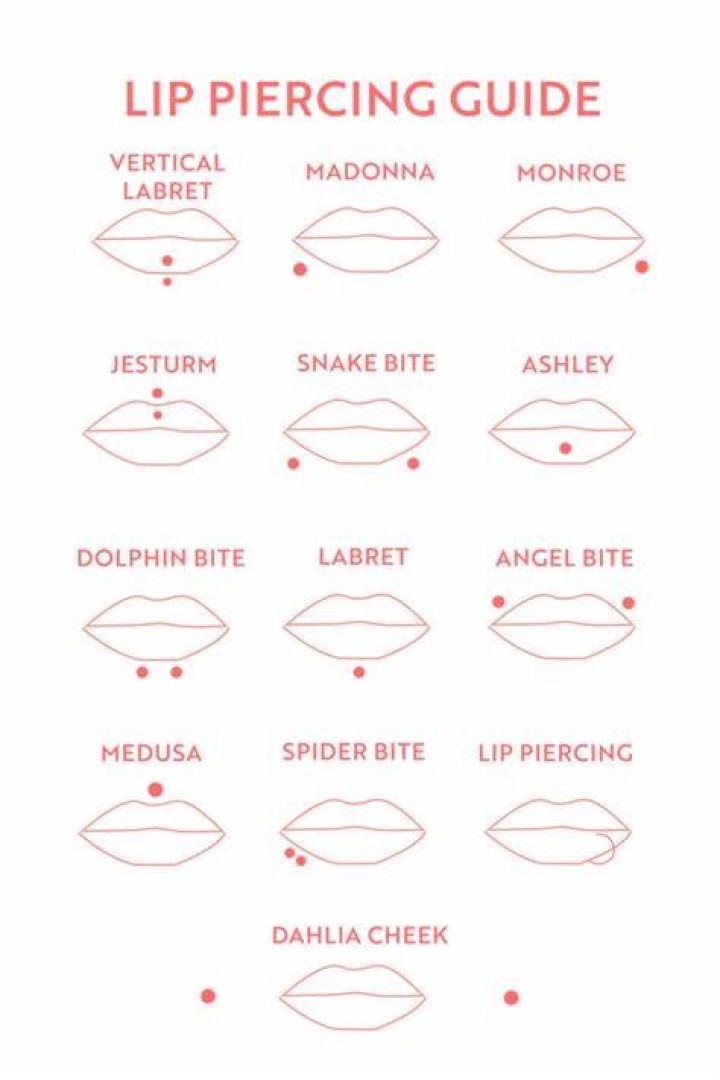 Lip Piercing Types Enjoy this visual diagram of all the different