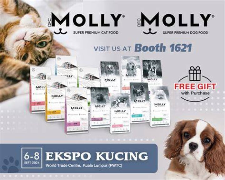 Molly Authorized Malaysia Ipoh