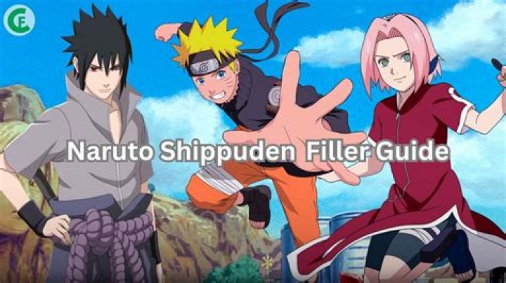 Naruto: Ultimate Filler Episode Guide