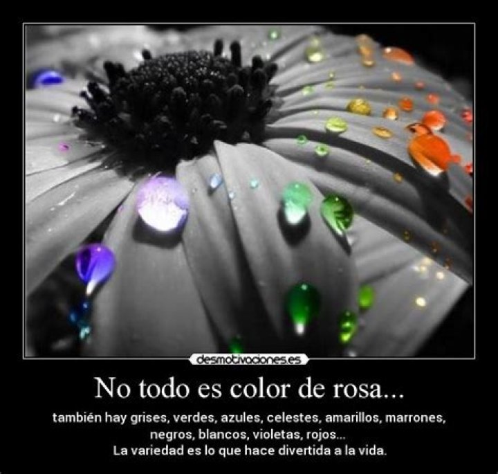 No todo es color de rosa, Aislinn derbez revela que va a terapia desde