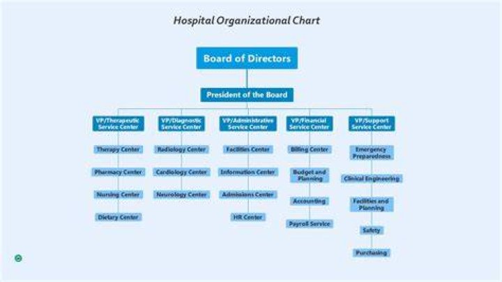 Organisational Structure Organogram Nihort Nigeria 1 7E6