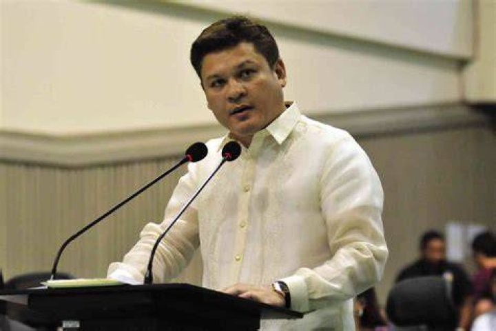 Paolo Duterte 'Ugok' senator accusing dad, me ABSCBN News