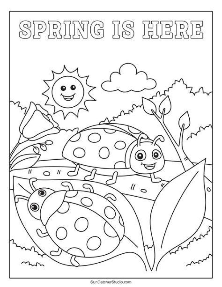 (PDF) Occasionally Made Spring 2015 Catalog DOKUMEN.TIPS