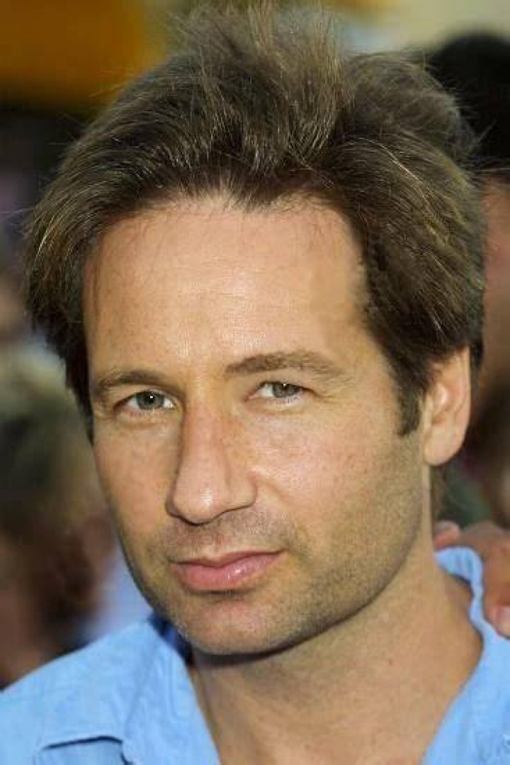 Pin on DAVID DUCHOVNY