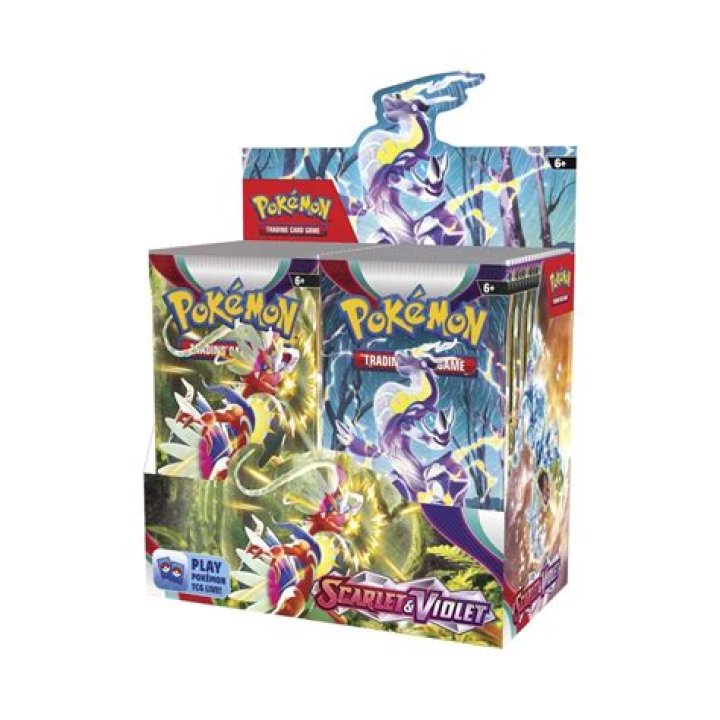 Pok&eacute;mon Scarlet & Violet Every Gen 9 Character You Need To Know About