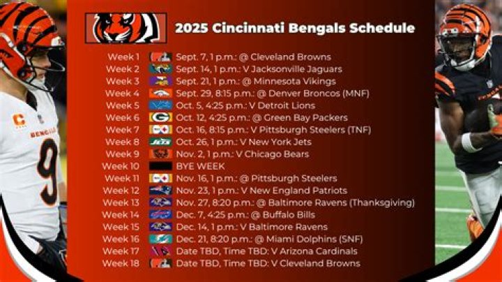 Prediction What Will Cincinnati Bengals Do at QB With Will Grier