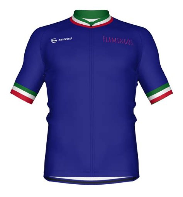 Pro_cyclist shirt_blue TS10634