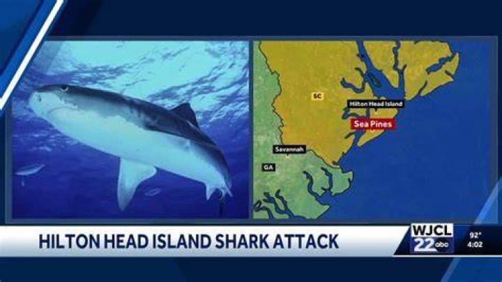 Shark bite reported in Hilton Head