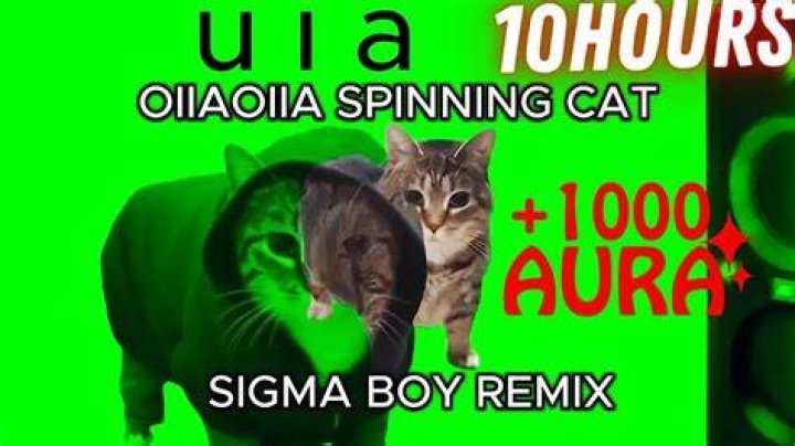 SIGMA BOY🥶🥶 YouTube