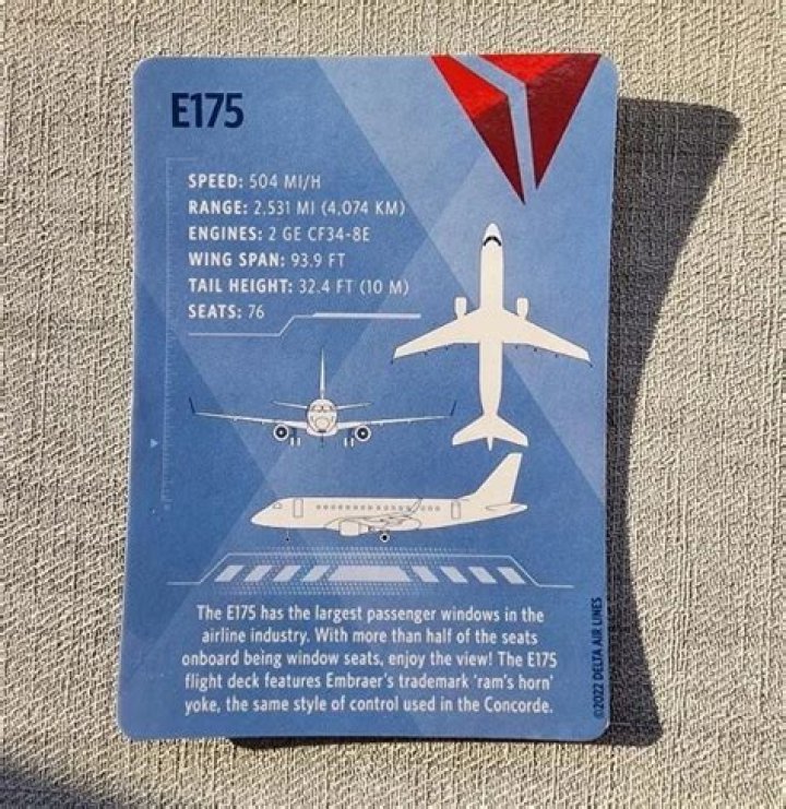 Some airline pilots carry plane trading cards — here's how to get one