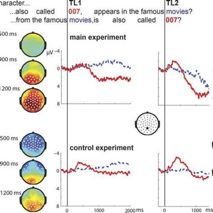 Stephen LEVINSON Director Max Planck Institute for