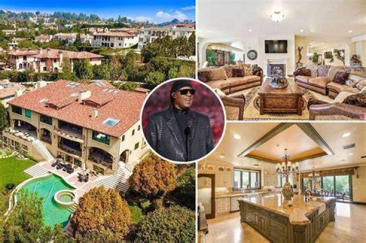 Stevie Wonder Brings Back House Full of Toys Benefit Concert