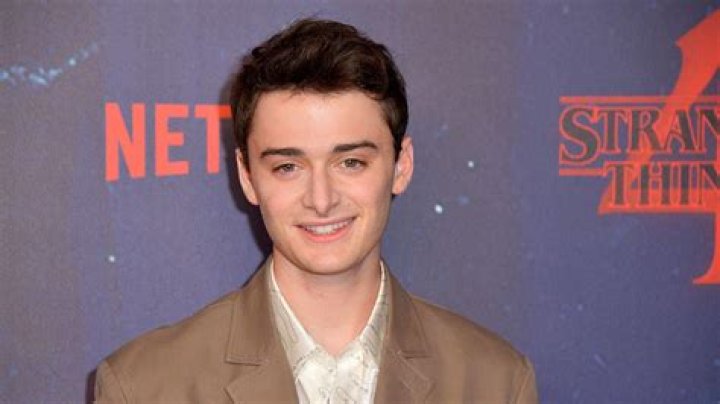 Stranger Things Star Noah Schnapp on Why He Chose a Normal Summer Job