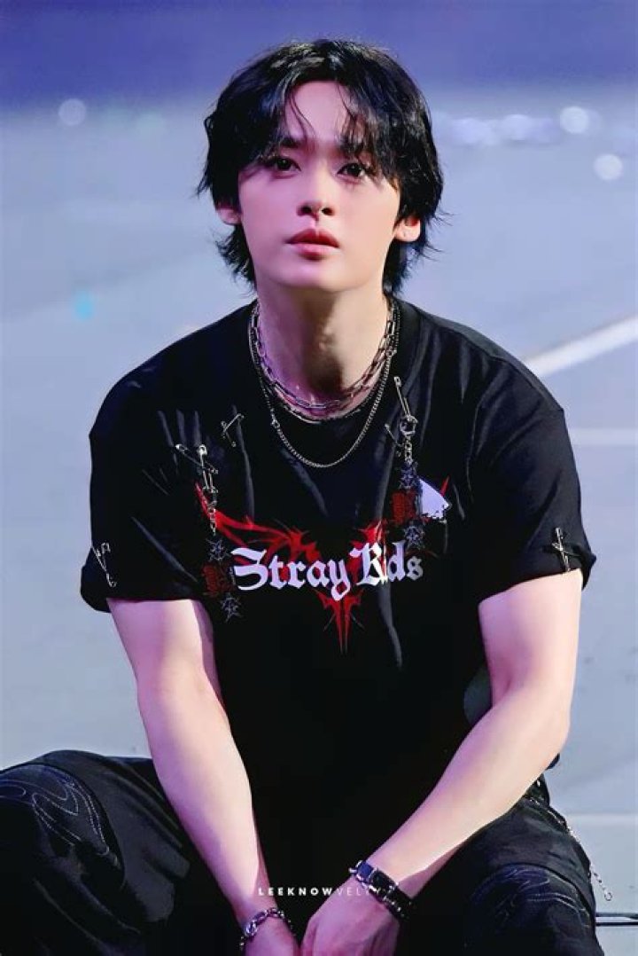 STRAY KIDS Lee Know Stray Kids Minho, Lee Know Stray Kids, Felix