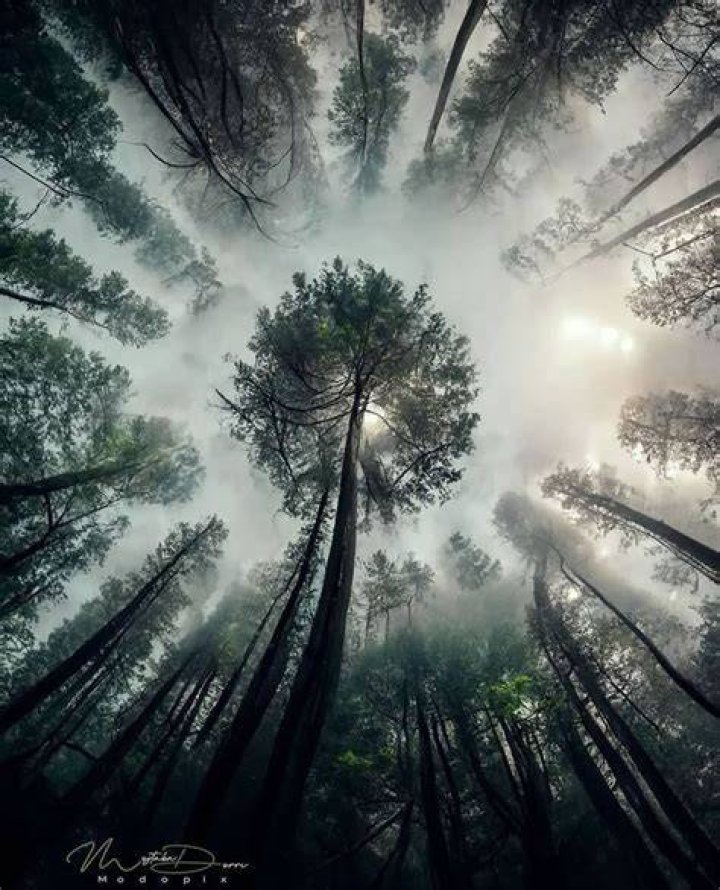 Stunning Photography Inspiration