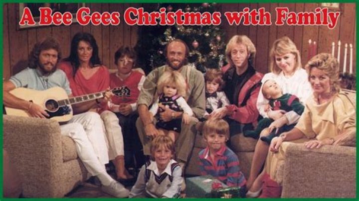 The Bee Gee Family Bee gees, Barry gibb, Andy gibb