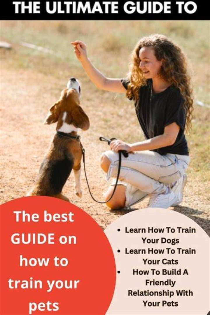 The best Guide On How To Make Your Boyfriend/Husband Miss You in 2021