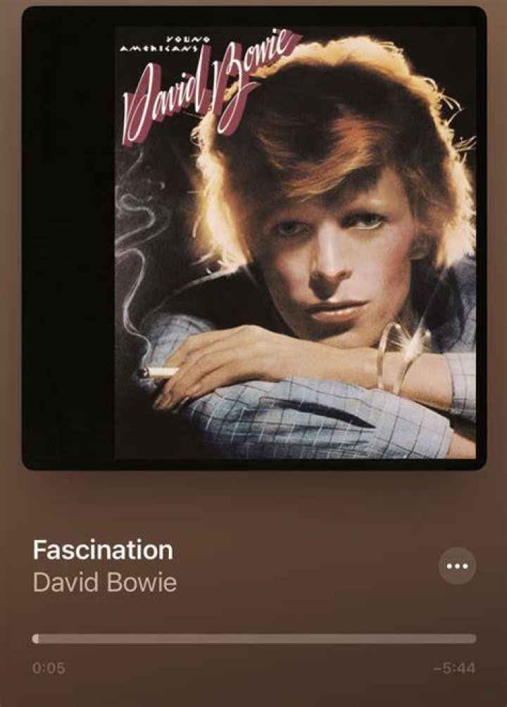 The fascination with David Bowie's sexuality