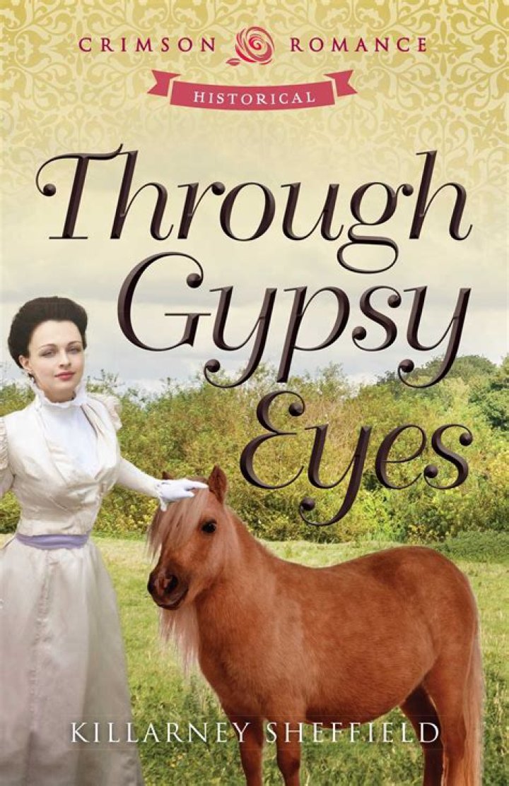 Through Gypsy Eyes Book by Killarney Sheffield Official Publisher