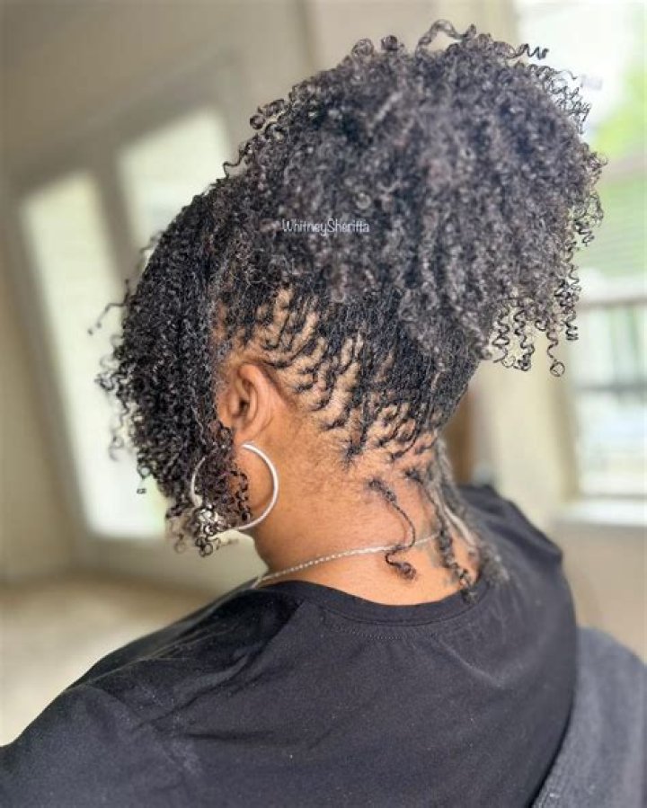 Tiny Locs into Ponytail Stud Hairstyles, Mens Ponytail Hairstyles, Try