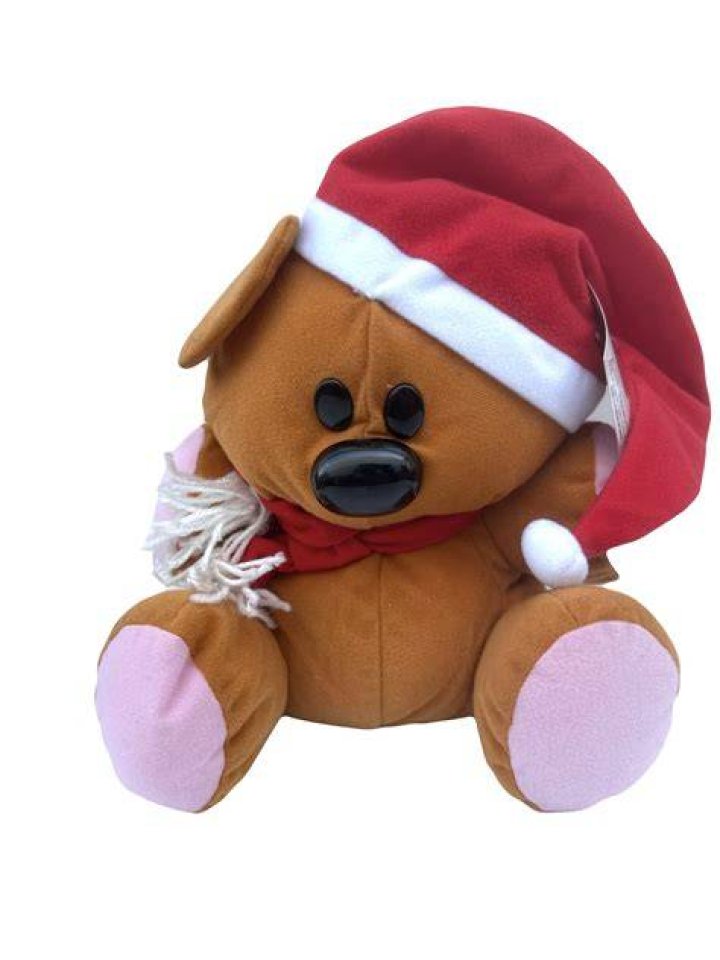 Ty Beanie Buddy Pooky Plush Stuffed Toy Garfield Teddy Bear Collectible