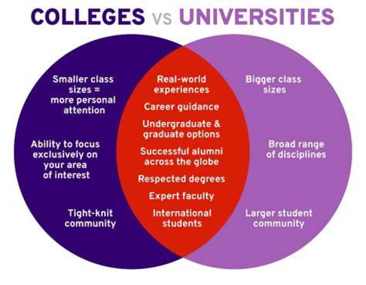 Understanding The Differences: College Vs University