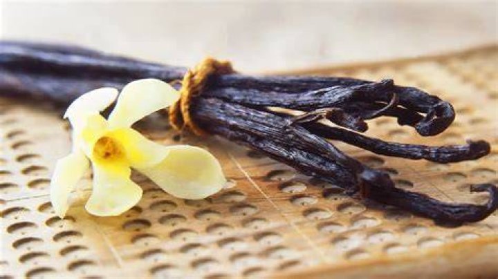 Unveiling The Sweet Essence Of Vanillabeans