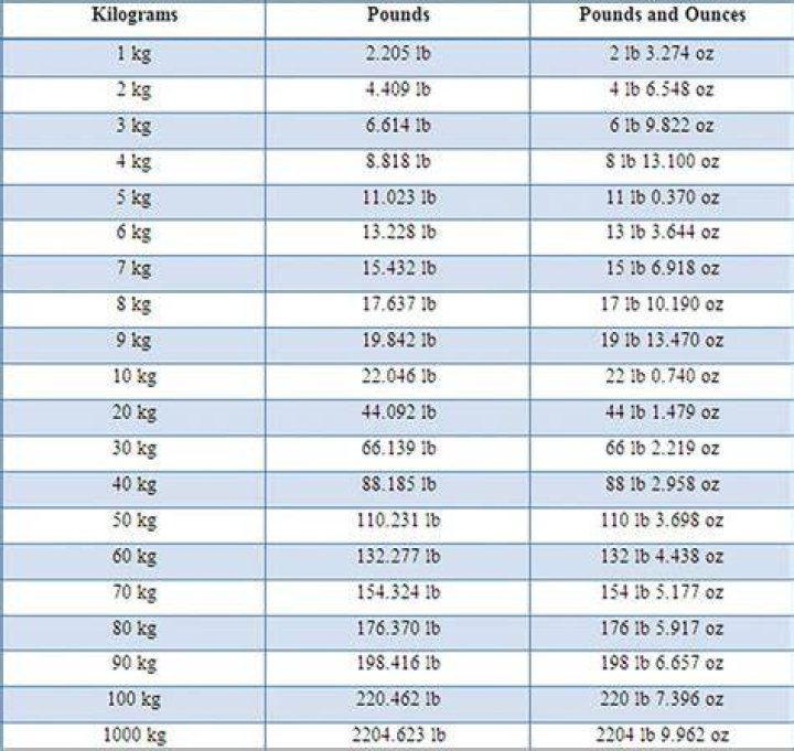 What does 48 kg of muscle look like?