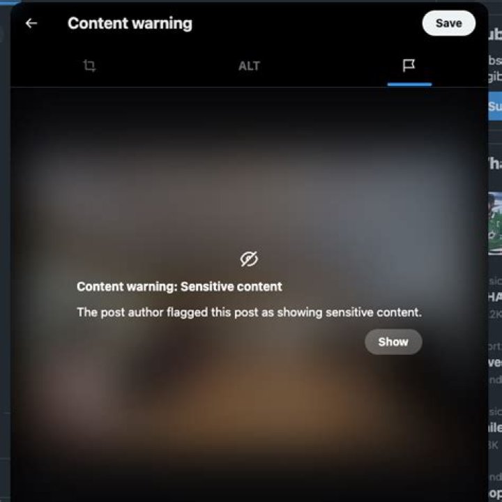 What does NSFW mean on social media? YouTube