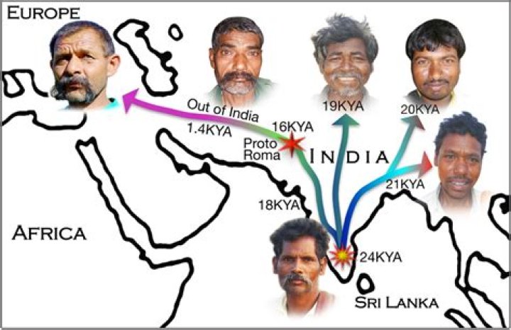 Where do gypsies come from? Times of India