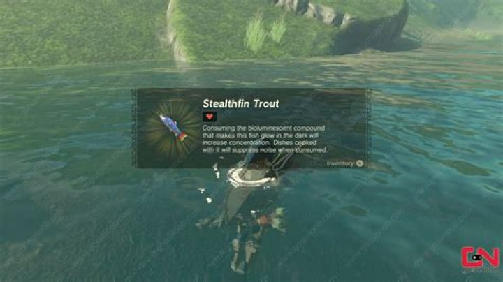 Where to find Stealthfin Trout in Zelda Breath of the Wild 🐟 YouTube