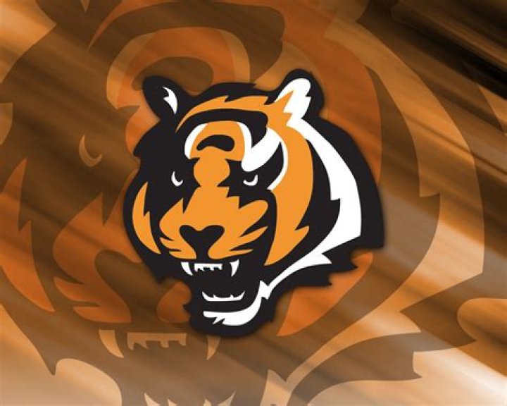 WHO DEY!! Cincinnati Bengals Wallpaper (9328302) Fanpop