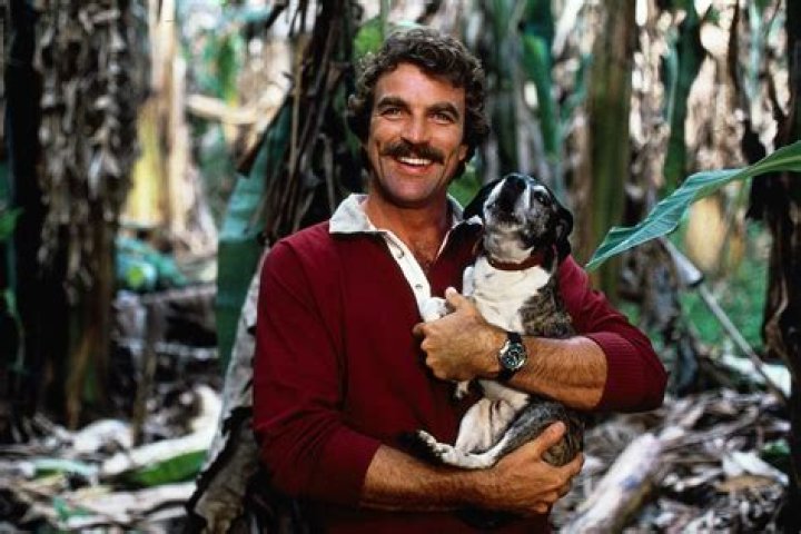 Who Is Tom Selleck's Wife? All About Jillie Mack Story News