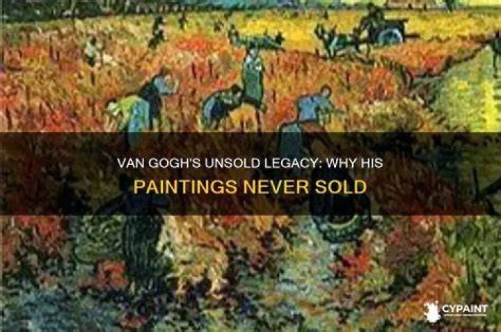 Why Did Vincent Van Gogh Commit Suicide? Anita Louise Art
