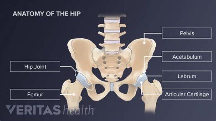 wider hips bone structure Hips dips, What are hip dips, Hip dip exercise