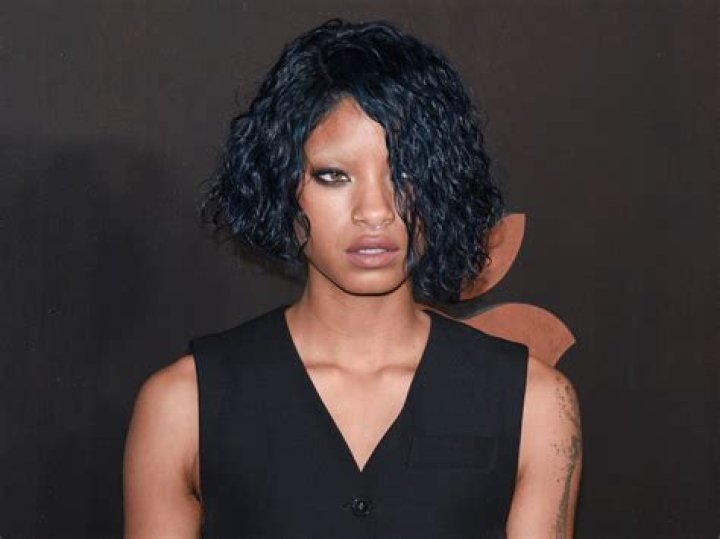 Willow Smith net worth 2020 houses, cars and sources of