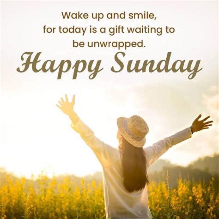 Witty Quotes For A Humorous Sunday
